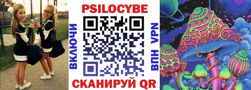 как найти закладки  Озёрск  Галлюциногенные грибы мицелий 